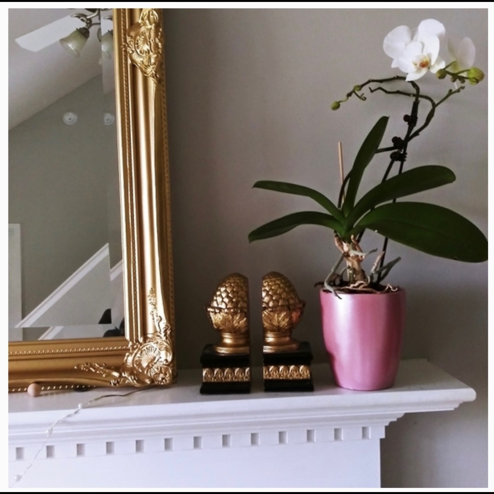 Bookends gold home decor gold black cedars seed